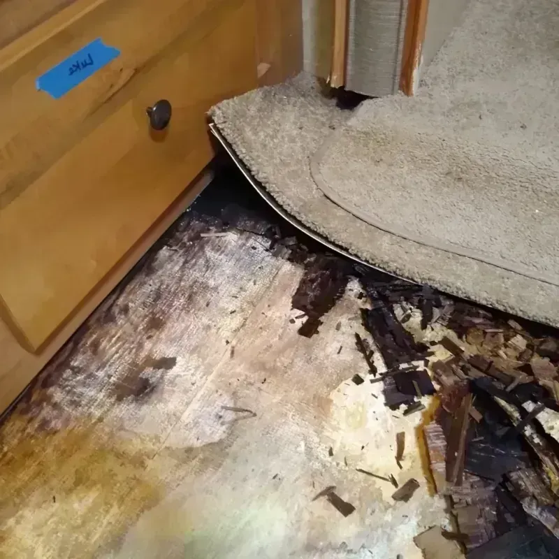 Wood Floor Water Damage in Central Park, WA